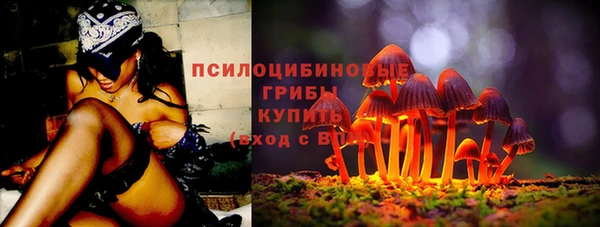 стафф Алексин